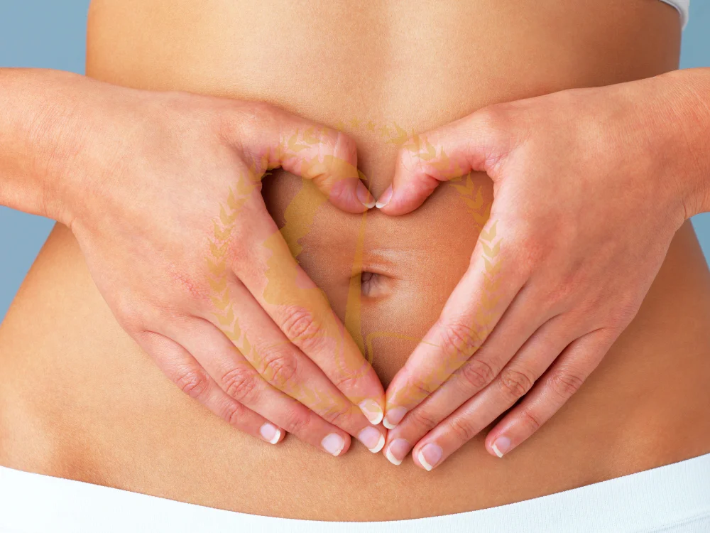 stomach-lipo