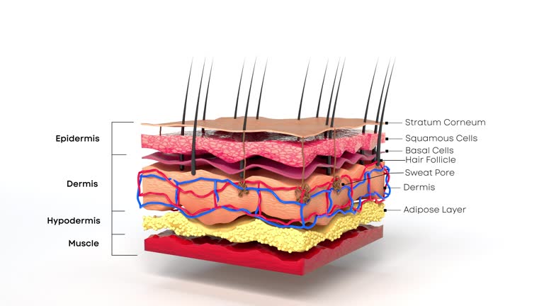 endolift-skin-tightening-trusted-clinic-malaysia
