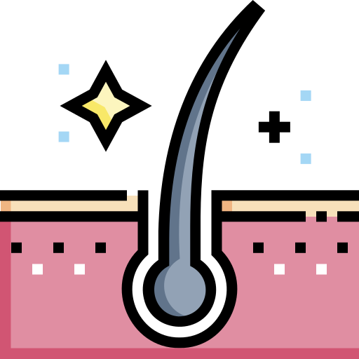 hair-follicle