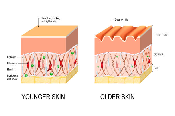 signs-of-aging