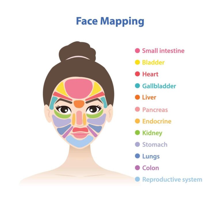 the woman face with face mapping illustration isolated on white background diagram of chinese face map reveals internal body issues from pimples rashes change of skin color tone dryness vector