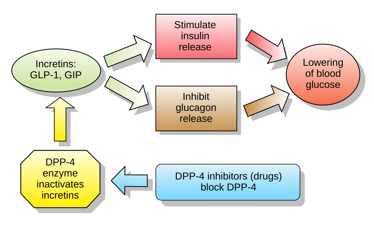 GLP-1 (Glucagon-Like Peptide-1): Uses, Benefits, & Mechanism 1 GLP-1-malaysia